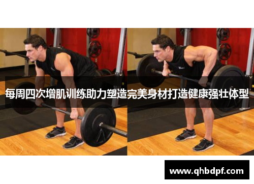每周四次增肌训练助力塑造完美身材打造健康强壮体型