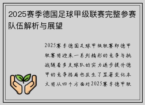 2025赛季德国足球甲级联赛完整参赛队伍解析与展望
