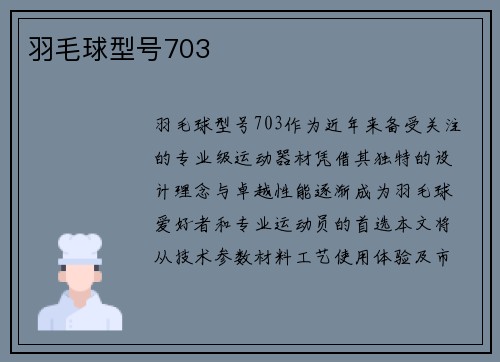 羽毛球型号703