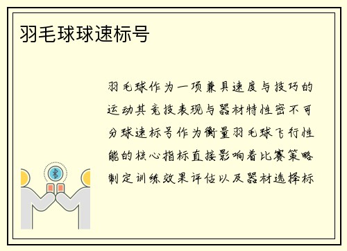 羽毛球球速标号